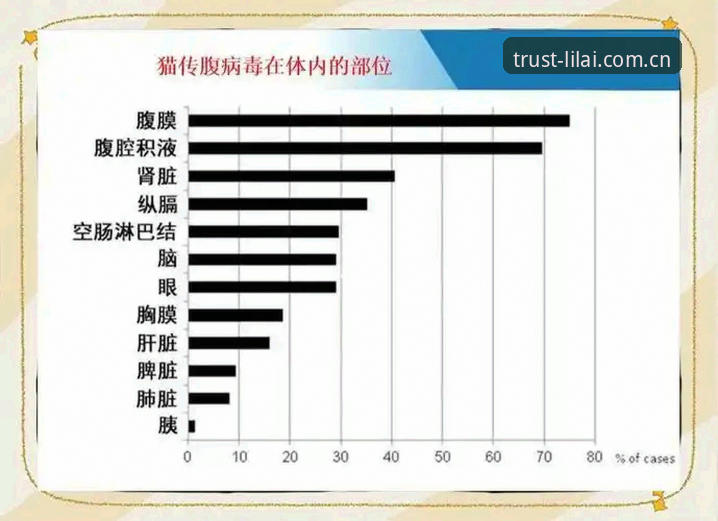 揭秘利来官方网站：资深用户眼中的体育综合平台真相