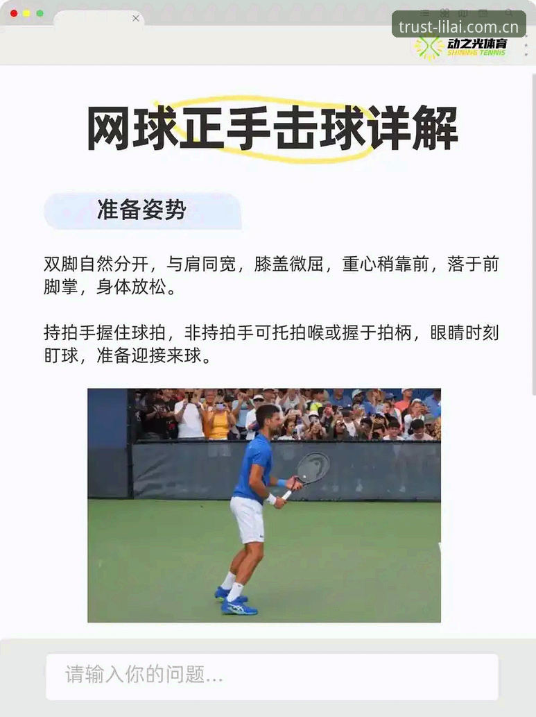 利来体育平台实用指南：从新手到高手的必备技巧
